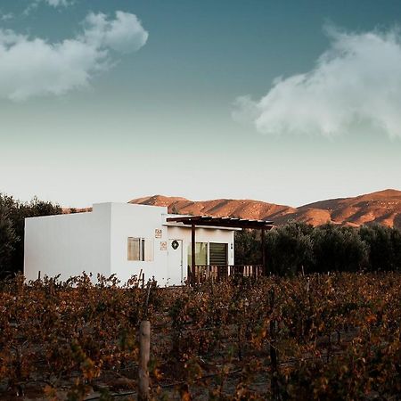 Casa Colibri @ Guadalupe Valley فالي دي جوادالوبي المظهر الخارجي الصورة