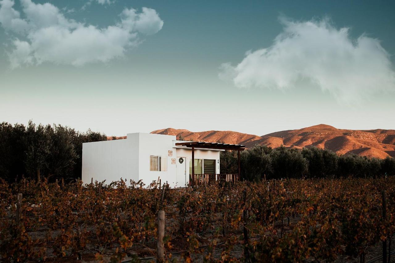 Casa Colibri @ Guadalupe Valley فالي دي جوادالوبي المظهر الخارجي الصورة